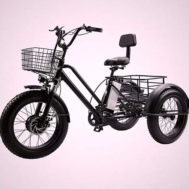 Adult Large Storage Snow & Beach Tricycle 3 wheel 4.0 Fat Tire Tricycle E0